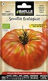 Battle - Semi Ecologici Pomodori Tres Cantos Giganti Rosa (85 Semi - Bio) foto, miglior prezzo EUR 7,94 nuovo 2024