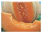 150 C.ca Semi Melone Top Mark - Cucumis Melo In Confezione Originale Prodotto in Italia - Meloni foto, miglior prezzo EUR 7,40 nuovo 2024
