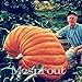 foto 20Pcs Super grandi semi di zucca vegetali non OGM giardino di casa fai da te bonsai dono di semi di zucca gigante commestibile per gli impianti di divertimento di Halloween