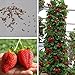 foto Ncient 20/50/100 Semi Sementi di Fragola Strawberry Trepa Semi Frutti Frutta Rari Profumati per Orto Giardino Balcone Interni ed Esterni