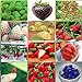 foto 12 confezioni diversi semi di fragola (verde, bianco, nero, rosso, blu, giganti, Mini, Bonsai, Normale Rosso, Pineberry) E3508