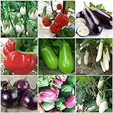 Plentree Green Eggplant 30 semi: Heirloom Orto Melanzana semi non OGM Seeds Bianco sopravvivenza organici foto, miglior prezzo  nuovo 2024