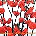 foto Pinkdose Rare russi semi di zucca melanzane, 100 semi/pacchetto, semi di Heirloom Solanum ornamentali melanzane