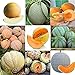 foto Portal Cool 11: 20 Pz/borsa Semi di melone Delicious Melone Seeds Home Garden Plants Btl8