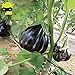 foto Go Garden Giant Black Beauty organico Melanzana di verdure, semi 100 semi/pacchetto, Frutta lucida Brinjaul annuali Nani Piante