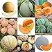 foto Portal Cool 09: 20 Pz/borsa Semi di melone Delicious Melone Seeds Home Garden Plants Ehe8 02