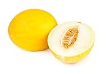 Canary Yellow Melon Seeds - Non-GMO - 2 Grams Photo, best price $4.99 new 2024
