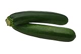 Black Beauty Zucchini Seeds - Non-GMO - 7 Grams, Approximately 60 Seeds Photo, best price $3.99 new 2024
