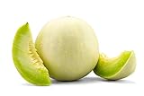 Honeydew Melon Green Flesh, 30 Heirloom Seeds Per Packet, Non GMO Seeds, Botanical Name: Cucumis melo L., Isla's Garden Seeds Photo, best price $5.89 ($0.20 / Count) new 2024