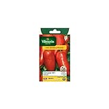 Vilmorin - Sachet graines Tomate Cornabel HF1 Photo, meilleur prix 7,75 € (0,39 € / Count) nouveau 2024