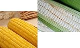 100 White & 100 Yellow Sticky Waxy Corn Seeds, Total 200 Seeds, Non GMO, Produce of The USA Photo, best price $15.99 ($0.08 / Count) new 2024
