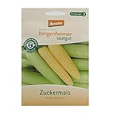 Bingenheimer Saatgut - Zuckermais Golden Bantam - Gemüse Saatgut / Samen Foto, bester Preis 5,00 € (250,00 € / kg) neu 2024