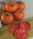 Burpee 'Super Beefsteak' | Red Beefsteak Slicing Tomato | 175 Seeds Photo, best price $6.62 new 2024