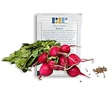 500 Cherry Belle Radish Seeds, USA Grown - Easy to Grow Heirloom Radish Seeds - Spring Vegetable Garden Seeds, First Harvest in 25 Days - Non GMO Radish Seeds - Premium Red Radish Seeds by RDR Seeds Photo, best price $5.99 ($0.01 / Count) new 2024