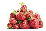 Strawberry Seeds-2000 Strawberry Seeds for Planting Indoors/Outdoors-Strawberry Seeds Heirloom Non GMO Organic-Alpine Strawberry Seeds for Planting Home Garden-Climbing Strawberry Tree Seeds Photo, best price $12.99 ($0.01 / Count) new 2024