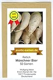 Rettich - Münchner Bier (50 Samen) Foto, bester Preis 1,80 € neu 2024