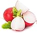 Photo Cherry Belle Radish Seeds | Vegetable Seeds for Planting Outdoor Gardens | Heirloom & Non-GMO | Planting Instructions Included