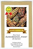Mais - Zuckermais - Ziermais - Indianermais - Fiesta - 25 Samen Foto, bester Preis 2,39 € (0,10 € / stück) neu 2024