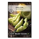 Sow Right Seeds - Green Honeydew Melon Seed for Planting - Non-GMO Heirloom Packet with Instructions to Plant a Home Vegetable Garden Photo, best price $4.99 new 2024