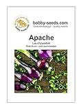 Zwiebelsamen Apache rote Lauchzwiebel Portion Foto, bester Preis 1,75 € neu 2024