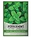 Photo Peppermint Seeds for Planting is A Heirloom, Open-Pollinated, Non-GMO Herb Variety- Great for Indoor and Outdoor Gardening and Herbal Tea Gardens by Gardeners Basics