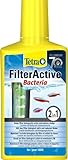Tetra FilterActive 250 ml - Contiene bacterias iniciadoras vivas y bacterias limpiadoras reductoras de lodo Foto, mejor precio 13,99 € nuevo 2024