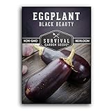 Survival Garden Seeds - Black Beauty Eggplant Seed for Planting - Packet with Instructions to Plant and Grow Bell-Shaped Dark Purple Eggplant in Your Home Vegetable Garden - Non-GMO Heirloom Variety Photo, best price $4.99 new 2024