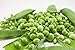 Photo Early Frosty Pea Seeds, 50 Heirloom Seeds Per Packet, Non GMO Seeds, Isla's Garden Seeds