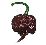 Chocolate Carolina Reaper HP22B Pepper Premium Seed Packet Record Hottest in The World + More Photo, best price $6.99 new 2024