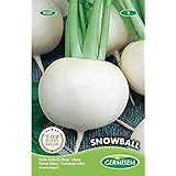 Germisem Snowball Semillas de Remolacha 20 g, EC9007 Foto, mejor precio 2,21 € nuevo 2024