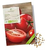 BIO Tomatensamen (Matina) - Tomaten Saatgut aus biologischem Anbau ideal für die Anzucht im Garten, Balkon oder Terrasse Foto, bester Preis 4,90 € neu 2024