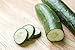 Photo Burpless #26 Hybrid Cucumber Seeds