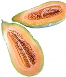 Banana Melon Cucumber Seeds, Exotic and Rare, 120 Heirloom Seeds Per Packet, Non GMO Seeds, Isla's Garden Seeds Photo, best price $6.29 ($0.05 / Count) new 2024