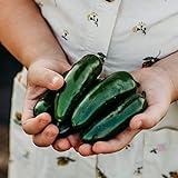 Nadapeno Jalapeno Pepper - 25 Seeds - Heirloom & Open-Pollinated Variety, Non-GMO Vegetable Seeds for Planting in The Home Garden, Thresh Seed Company Photo, best price $7.99 new 2024