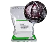 Red Acre Cabbage Seeds: 1 Lb - Non-GMO, Chemical Free Sprouting Seeds for Vegetable Garden & Growing Micro Greens Photo, best price $31.39 ($1.96 / Ounce) new 2024