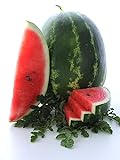 Cal Sweet Supreme Watermelon Seeds, 125 Heirloom Seeds Per Packet, Non GMO Seeds, High Germination & Purity, Botanical Name: Citrullus lanatus, Isla's Garden Seeds Photo, best price $5.79 ($0.05 / Count) new 2024