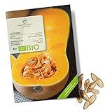BIO Kürbis Samen (Butternut) - Kürbis Saatgut aus biologischem Anbau ideal für die Anzucht im Garten, Balkon oder Terrasse Foto, bester Preis 4,90 € neu 2024