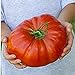 Photo Steakhouse Tomato Seeds (20+ Seeds) | Non GMO | Vegetable Fruit Herb Flower Seeds for Planting | Home Garden Greenhouse Pack