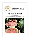Bobby-Seeds Melonensamen Mini Love F1 Wassermelone Portion Foto, bester Preis 4,59 € neu 2024