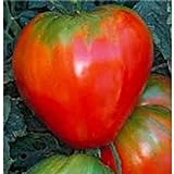 German Red Strawberry Tomato Seeds (20+ Seeds) | Non GMO | Vegetable Fruit Herb Flower Seeds for Planting | Home Garden Greenhouse Pack Photo, best price $3.69 ($0.18 / Count) new 2024