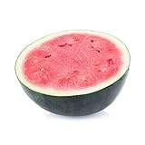 50 Sugar Baby Watermelon Seeds for Planting - Heirloom Non-GMO USA Grown Premium Fruit Seeds for Planting a Home Garden - Small Watermelon Citrullus Lanatus by RDR Seeds Photo, best price $4.99 ($0.10 / Count) new 2024