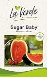 Sugar Baby Melonensamen Foto, bester Preis 2,95 € neu 2024