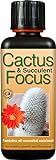 Engrais concentré Liquide Cactus and Succulent Focus 300 ML Photo, meilleur prix 11,97 € (39,90 € / l) nouveau 2024