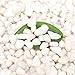 Photo [18 Pounds] White Pebbles Aquarium Gravel River Rock,Natural Polished Decorative Gravel,Garden Ornamental Pebbles Rocks,White Stones,Polished Gravel for Landscaping Vase Fillers White Mini (White)