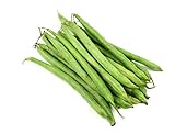 Burpee Stringless Green Bean Seeds, 50 Heirloom Seeds Per Packet, Non GMO Seeds, (Isla's Garden Seeds), Botanical Name: Phaseolus vulgaris, 85% Germination Rates Photo, best price $5.99 ($0.12 / Count) new 2024