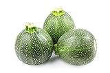 Round Zucchini Summer Squash Seeds, aka: Eight Ball Zucchini, 40 Heirloom Seeds Per Packet, Non GMO Seeds, Botanical Name: Cucurbirta pepo, Isla's Garden Seeds Photo, best price $5.89 ($0.15 / Count) new 2024