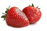 MOCCUROD 150pcs Giant Strawberry Seeds Evergreening Plant Fruit Seeds Sweet and Delicious Photo, best price $7.99 ($0.05 / Count) new 2024