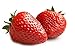Photo MOCCUROD 150pcs Giant Strawberry Seeds Evergreening Plant Fruit Seeds Sweet and Delicious