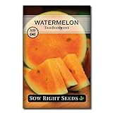 Sow Right Seeds - Orange Tendersweet Watermelon Seed for Planting - Non-GMO Heirloom Packet with Instructions to Plant a Home Vegetable Garden Photo, best price $4.99 new 2024
