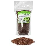 Organic Radish Sprouting Seeds - 1 Pound Non-GMO Daikon Radish Seeds - Plant & Grow Microgreens Indoors Photo, best price $17.67 ($1.10 / Ounce) new 2024